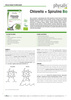 CHLORELLA + SPIRULINA BIO 200 TABLETEK - PHYSALIS