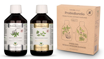 PROBIOTYCZNY EKSTRAKT ZIOŁOWY PROBIO BEZGLUTENOWY (2x300ml)600ml JOY DAY