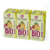 NEKTAR WIELOOWOCOWY + MARCHEW BEZ DODATKU CUKRÓW BIO 200 ml - HOLLINGER
