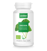 MIŁORZĄB JAPOŃSKI (GINKGO BILOBA) BIO (250 mg) 70 KAPSUŁEK - PURASANA