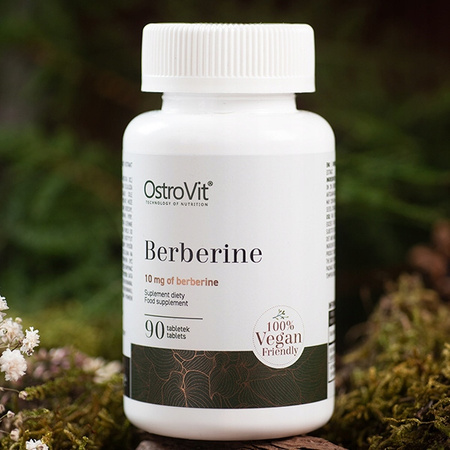 Dietary supplement OstroVit Berberine 90 tablets