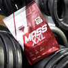 Gainer proszek czekoladowy Trec Nutrition 3000 g