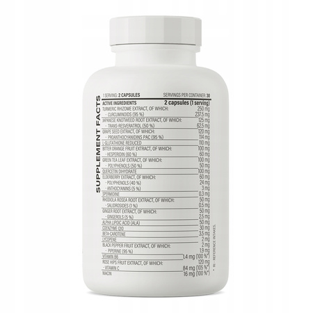 OstroVit 17 Antioxidants 60 caps TURMERIC COMPLEX VITAMIN C RODEL