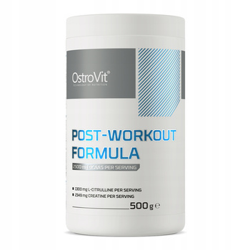 OstroVit fruit post-workout powder 500 g