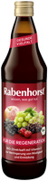 SOK WIELOOWOCOWY NFC REGENERUJĄCY BIO 750 ml - RABENHORST