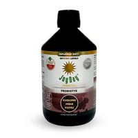 KONCENTRAT NAPOJU PROBIO KURKUMA IMBIR PIEPRZ BEZGLUTEN 500ml JOY DAY