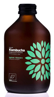 KOMBUCHA Z OGÓRKIEM I KOLENDRĄ BEZGLUTENOWA BIO 330 ml - VIGO